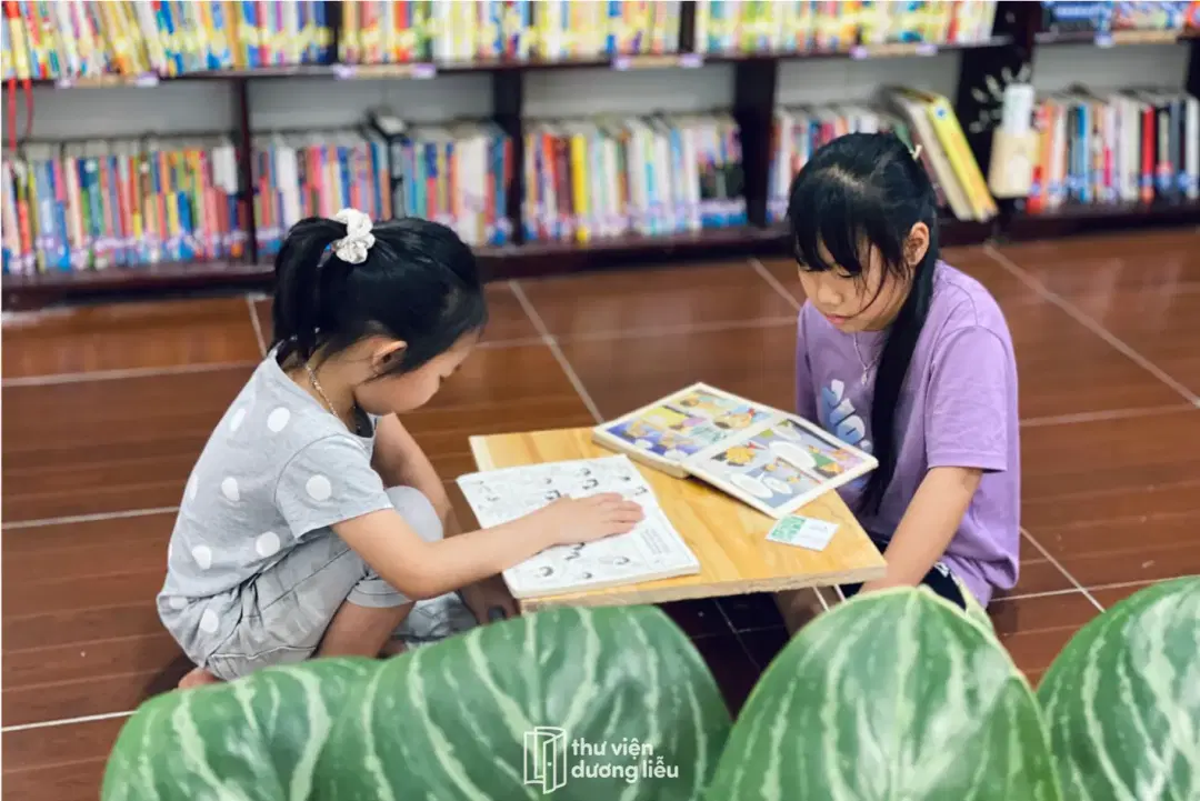 image 2 of the Duong lieu library